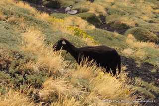 rra delle Concazze-05-08-2014 15-10-43